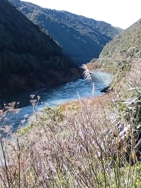 Manawatu Gorge 4